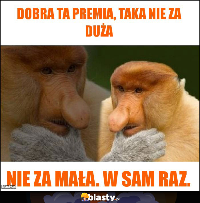 Dobra ta premia, taka nie za duża Dobra ta premia, taka nie za duża