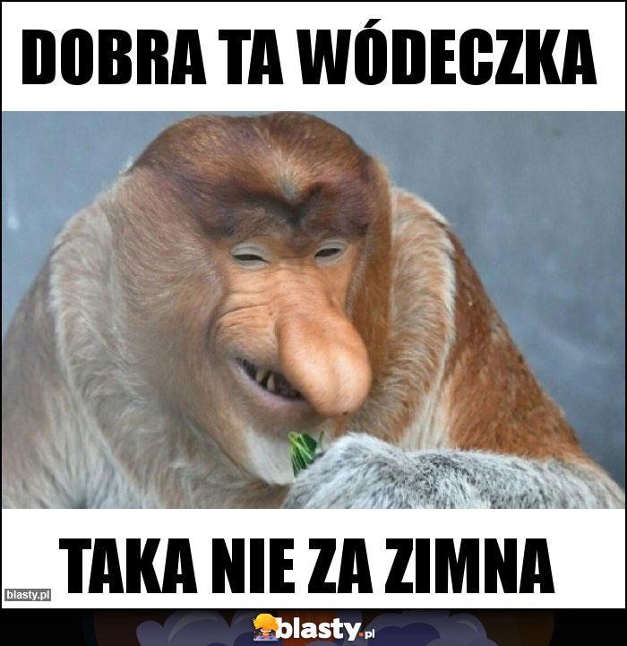 DOBRA TA WÓDECZKA DOBRA TA WÓDECZKA