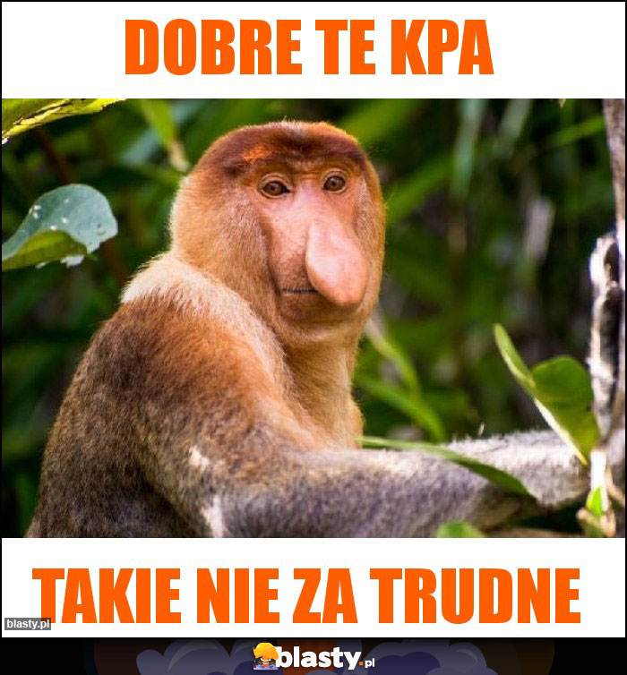 Dobre te KPA Dobre te KPA