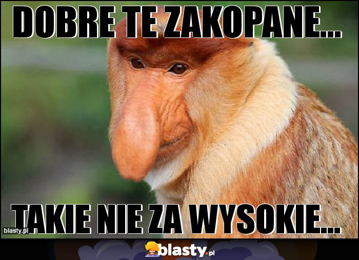 Dobre te Zakopane... Dobre te Zakopane...