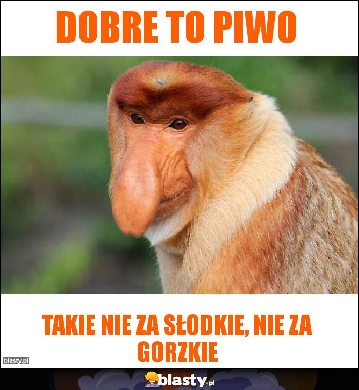 Dobre to piwo Dobre to piwo