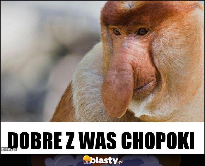 Dobre z was Chopoki