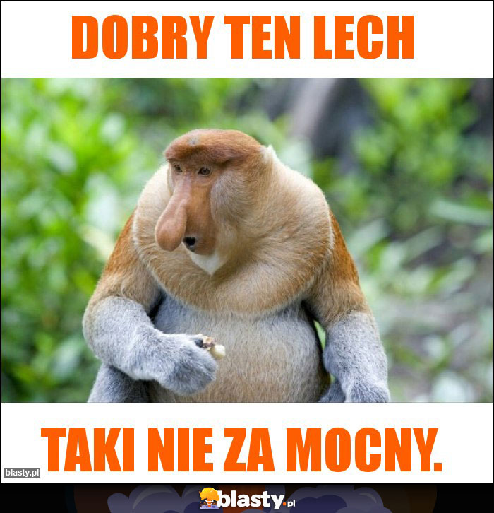 Dobry ten Lech Dobry ten Lech