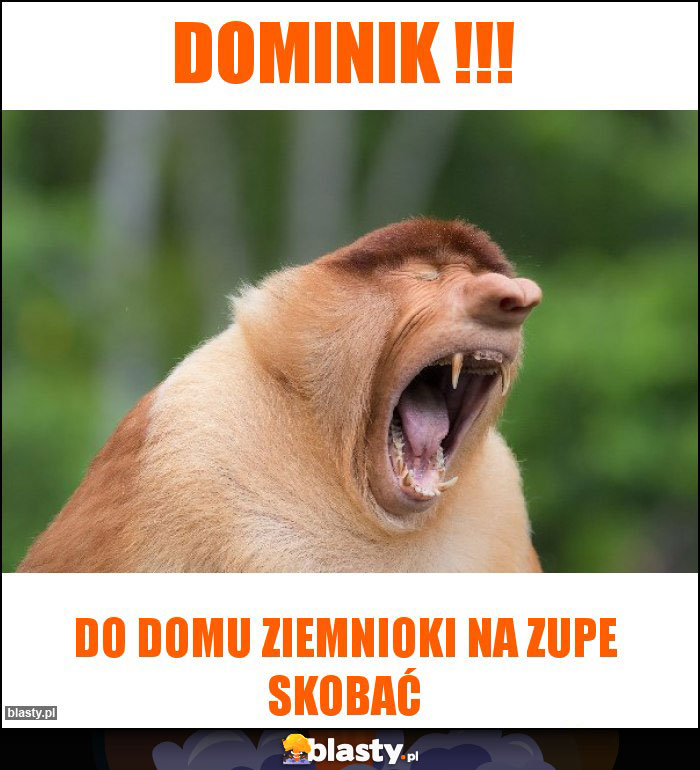 Dominik !!! Dominik !!!