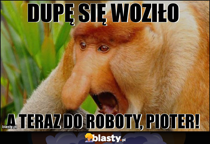 Dupę się woziło Dupę się woziło