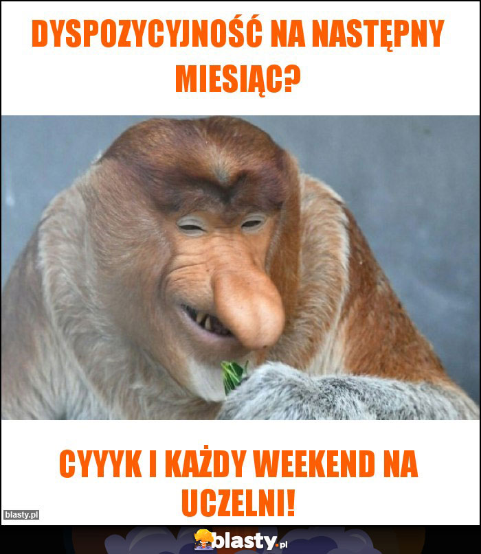 DYSPOZYCYJNOŚĆ NA NASTĘPNY MIESIĄC?