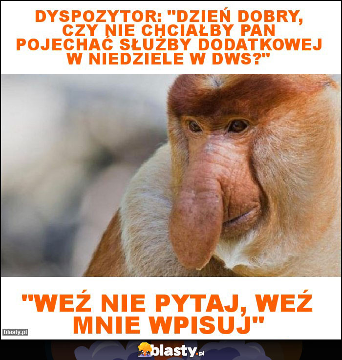 Dyspozytor: Dyspozytor:
