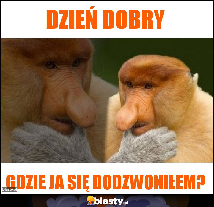 Dzień dobry