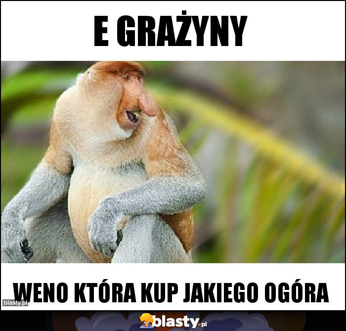 E Grażyny