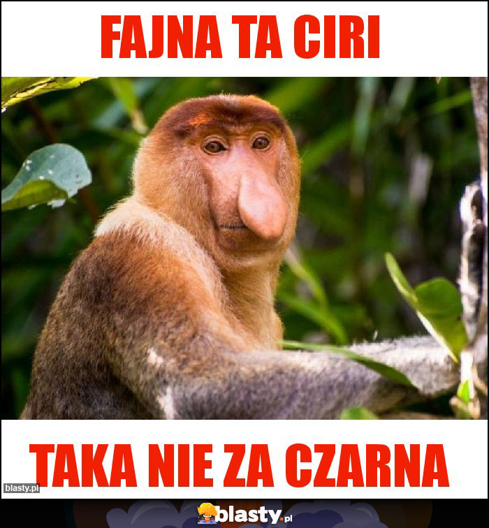 Fajna ta Ciri