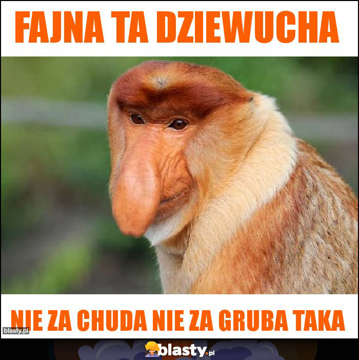 Fajna ta dziewucha Fajna ta dziewucha