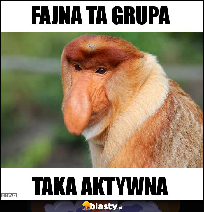 fajna ta grupa fajna ta grupa
