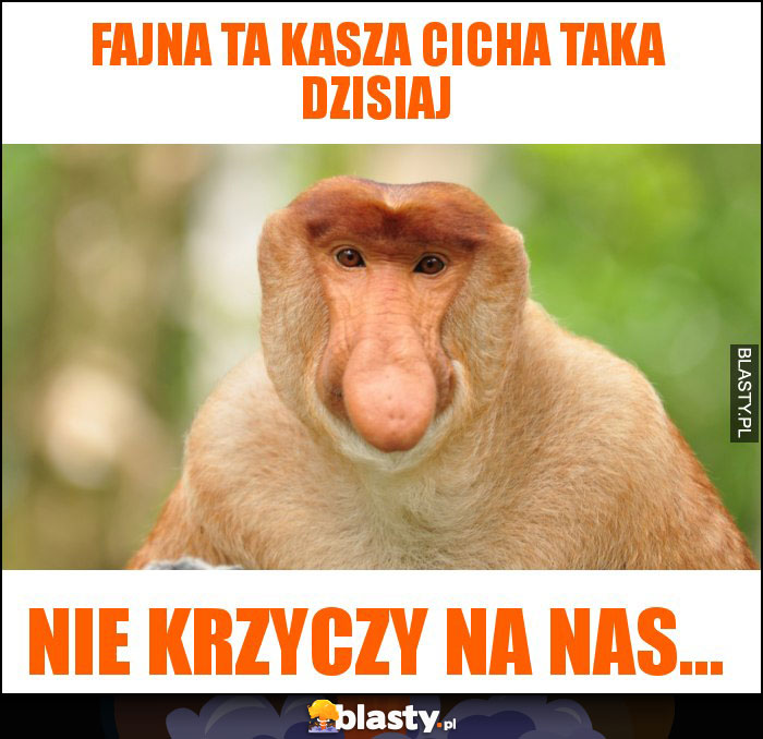 Fajna ta Kasza cicha taka dzisiaj Fajna ta Kasza cicha taka dzisiaj