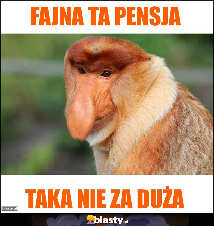 Fajna ta pensja