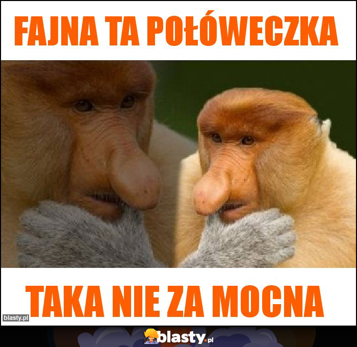 Fajna ta połóweczka Fajna ta połóweczka