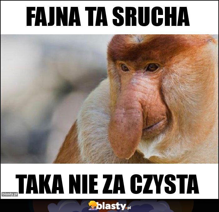 Fajna ta srucha Fajna ta srucha
