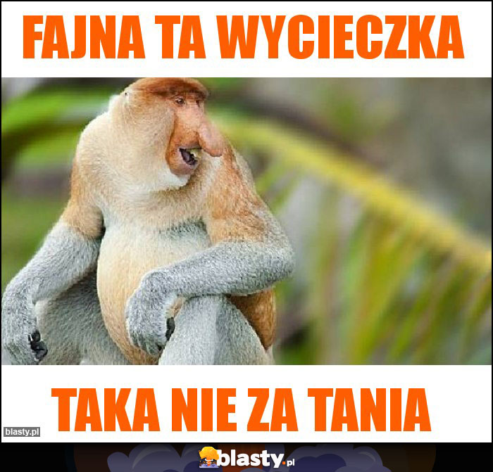 Fajna ta wycieczka Fajna ta wycieczka