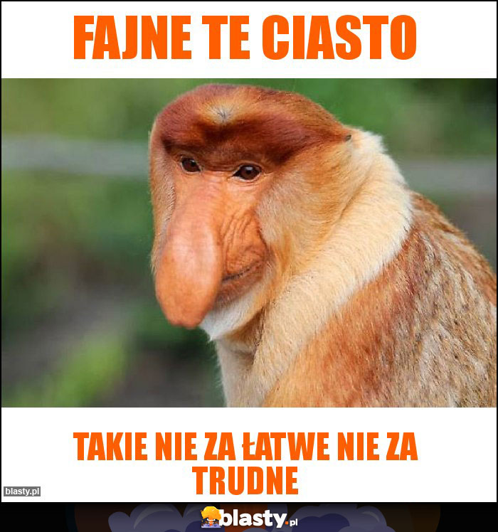 FAJNE TE CIASTO FAJNE TE CIASTO