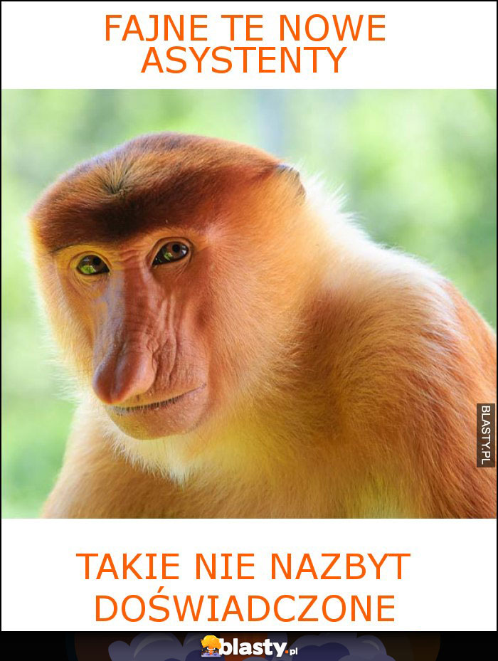 Fajne te nowe asystenty Fajne te nowe asystenty