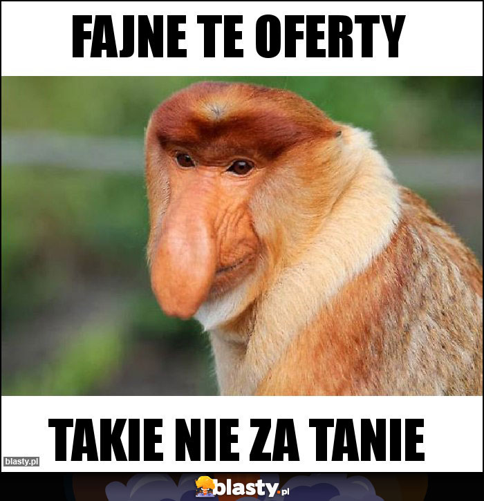 fajne te oferty fajne te oferty
