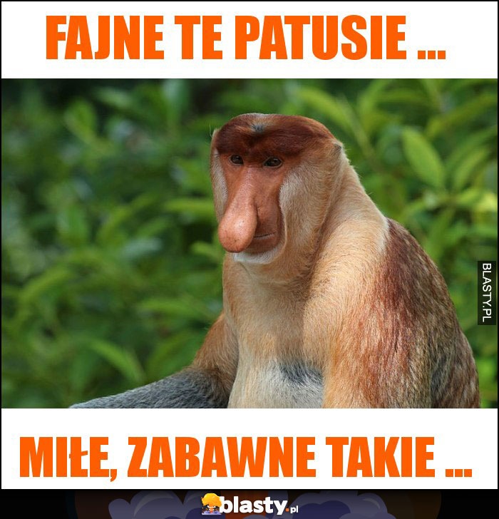 Fajne te PATUSIE ... Fajne te PATUSIE ...
