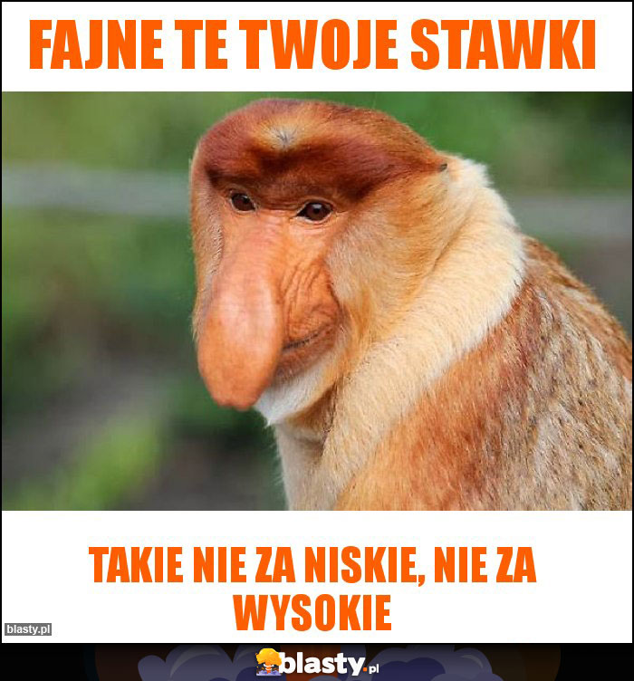 Fajne te Twoje stawki Fajne te Twoje stawki