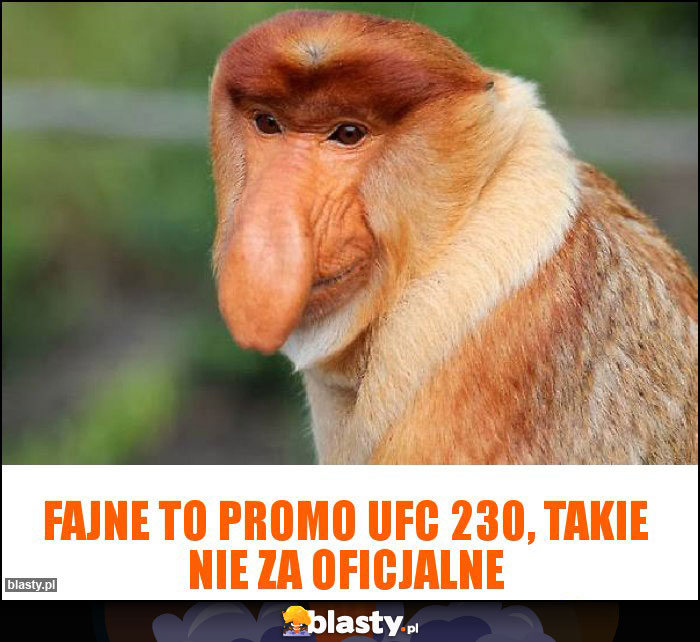 Fajne to promo UFC 230, takie nie za oficjalne Fajne to promo UFC 230, takie nie za oficjalne