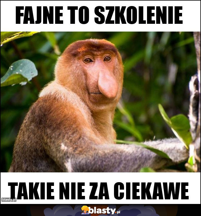 Fajne to szkolenie Fajne to szkolenie