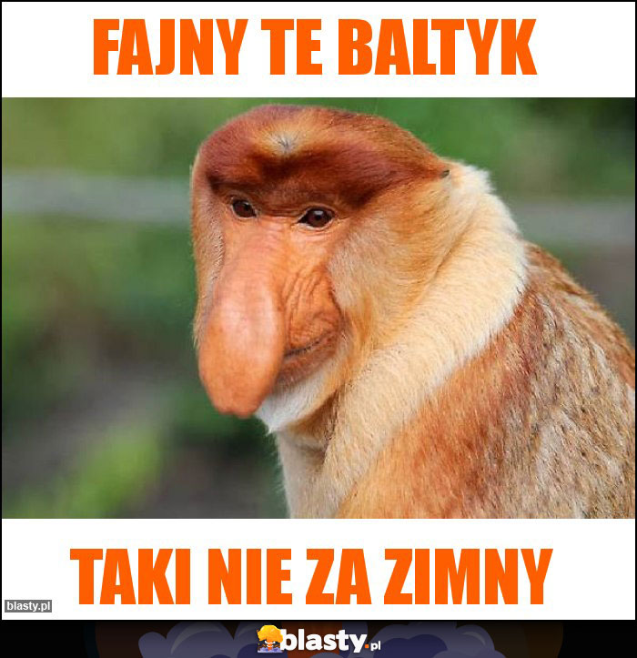fajny te baltyk fajny te baltyk