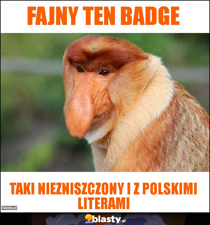 FAJNY ten BAdge FAJNY ten BAdge