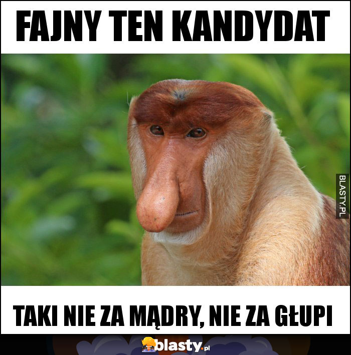 Fajny ten kandydat Fajny ten kandydat