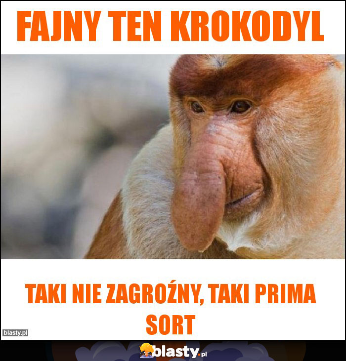 Fajny ten krokodyl Fajny ten krokodyl
