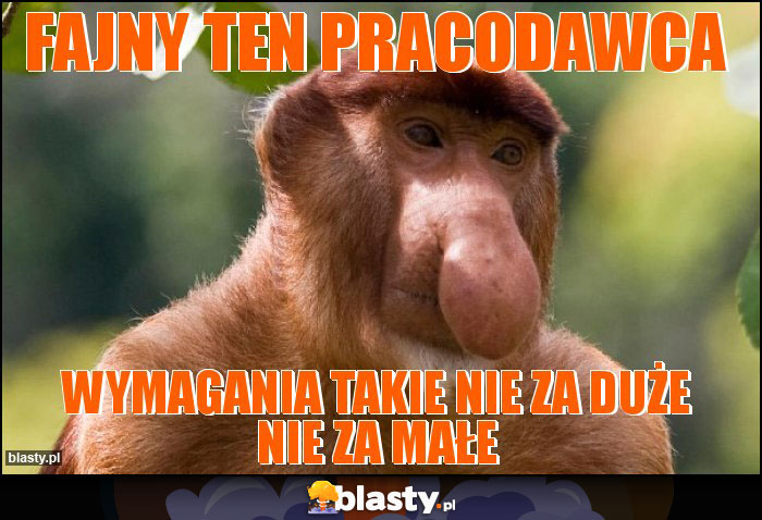 Fajny ten pracodawca Fajny ten pracodawca