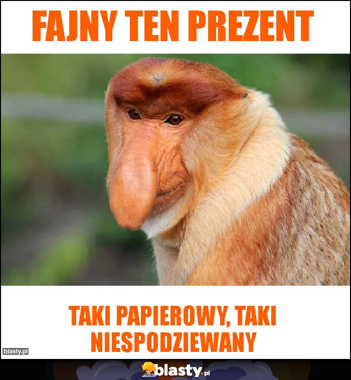 FAJNY TEN PREZENT FAJNY TEN PREZENT