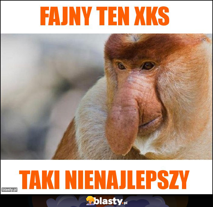 Fajny ten XKS Fajny ten XKS