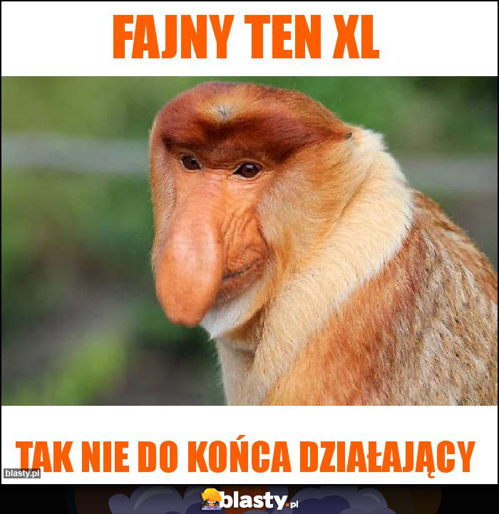 Fajny ten XL Fajny ten XL