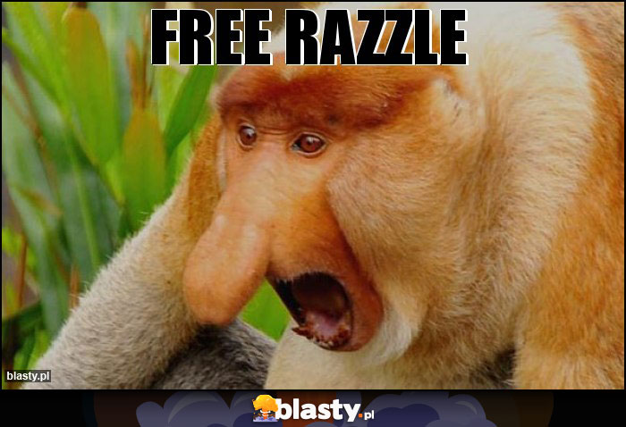 Free Razzle Free Razzle