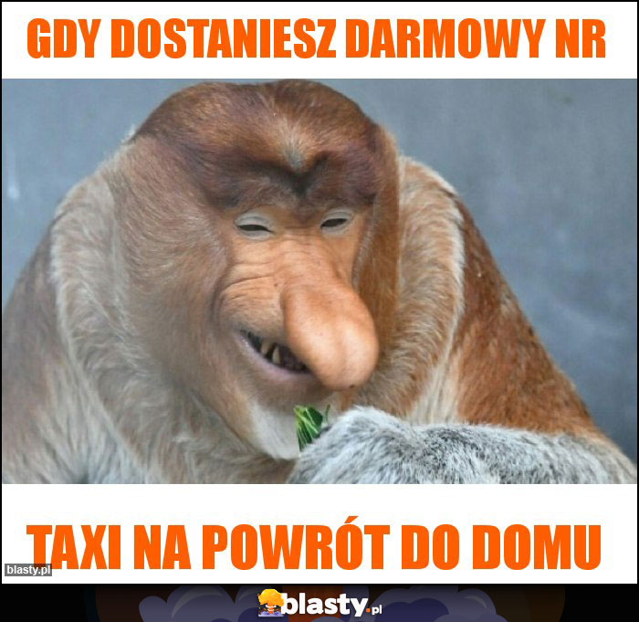 GDY DOSTANIESZ DARMOWY NR GDY DOSTANIESZ DARMOWY NR