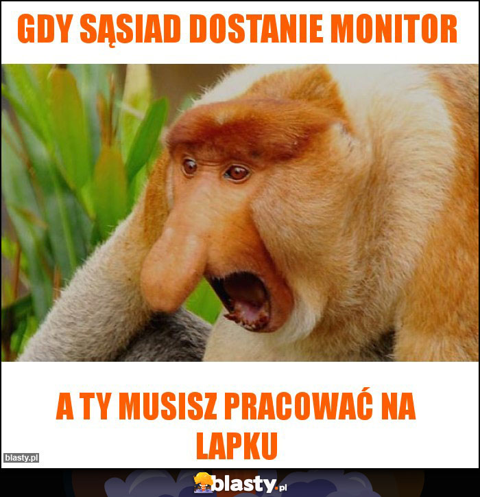Gdy sąsiad dostanie monitor Gdy sąsiad dostanie monitor