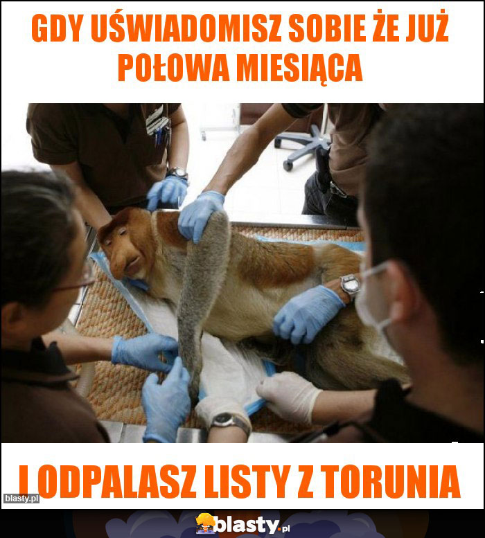 Gdy uświadomisz sobie że już połowa miesiąca Gdy uświadomisz sobie że już połowa miesiąca