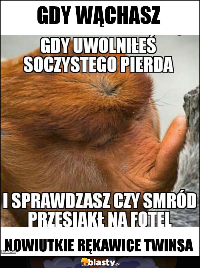 Gdy wąchasz Gdy wąchasz