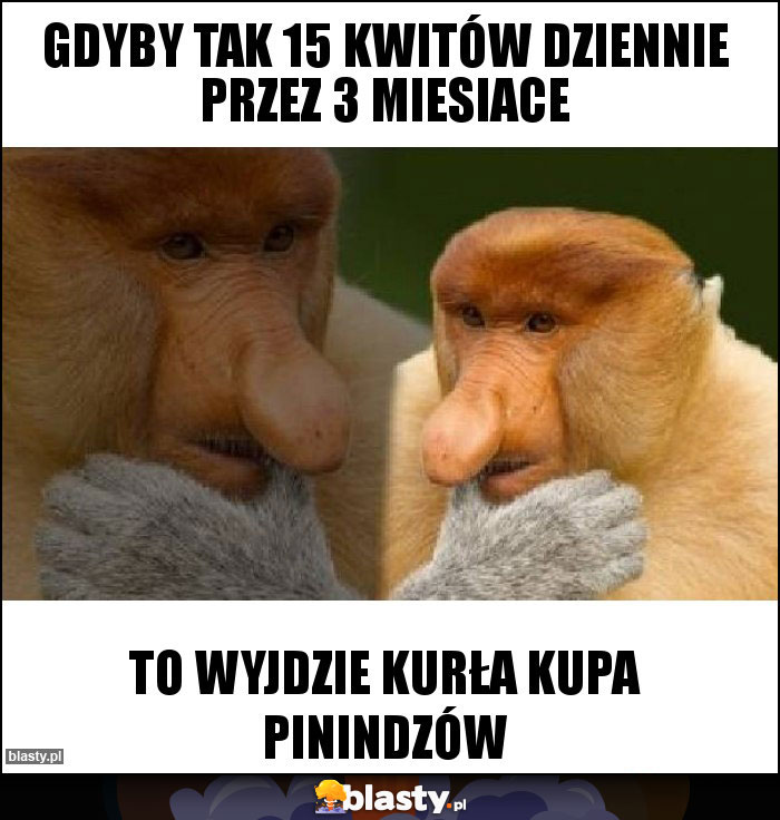GDYBY TAK 15 KWITÓW DZIENNIE PRZEZ 3 MIESIACE GDYBY TAK 15 KWITÓW DZIENNIE PRZEZ 3 MIESIACE