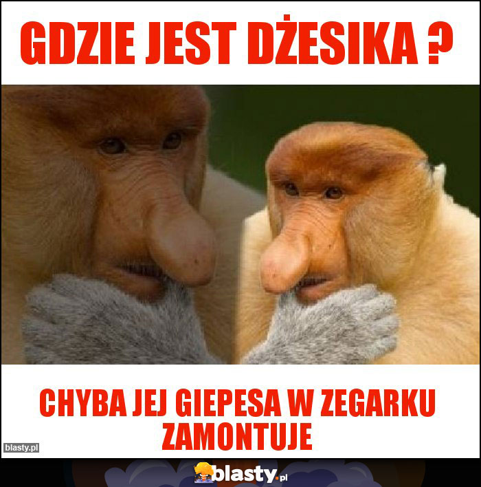 Gdzie jest Dżesika ? Gdzie jest Dżesika ?