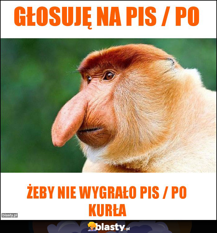 Głosuję na PIS / PO