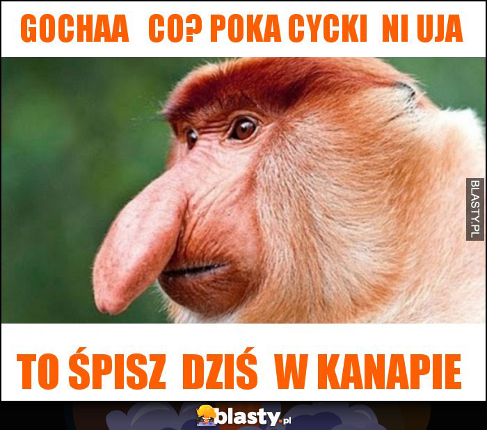 Gochaa co? poka cycki ni uja Gochaa co? poka cycki ni uja