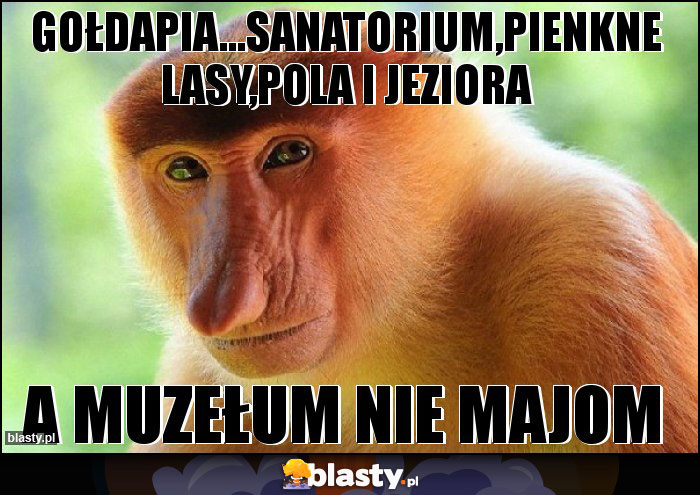 Gołdapia...sanatorium,pienkne lasy,pola i jeziora Gołdapia...sanatorium,pienkne lasy,pola i jeziora