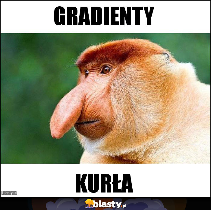gradienty