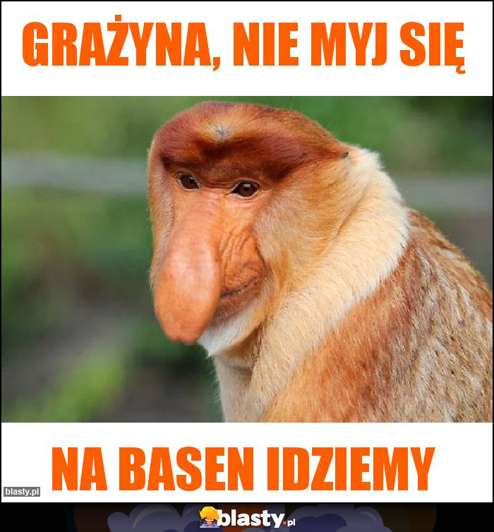 GRAŻYNA, NIE MYJ SIĘ GRAŻYNA, NIE MYJ SIĘ