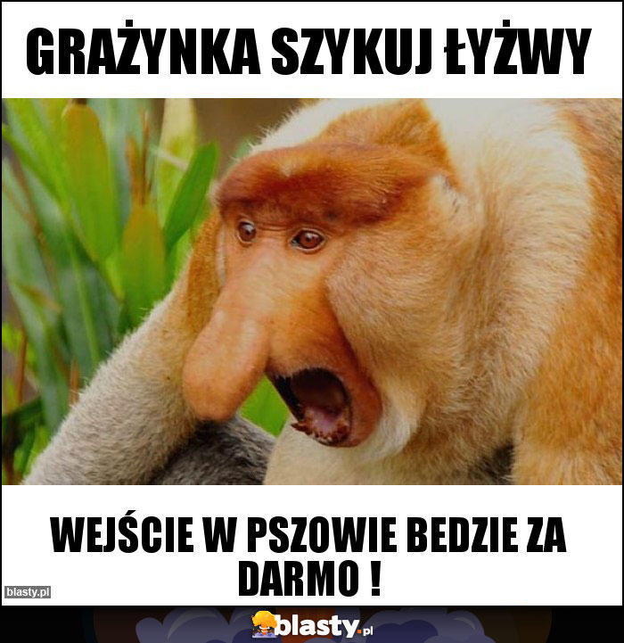Grażynka szykuj łyżwy