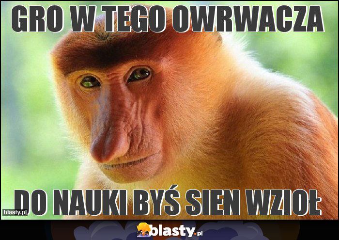 Gro w tego owrwacza Gro w tego owrwacza